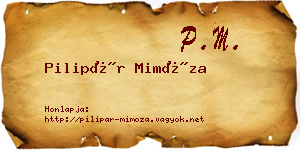 Pilipár Mimóza névjegykártya